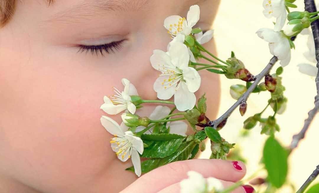 Geur is emotie, geur is herinnering, geur beïnvloedt.
