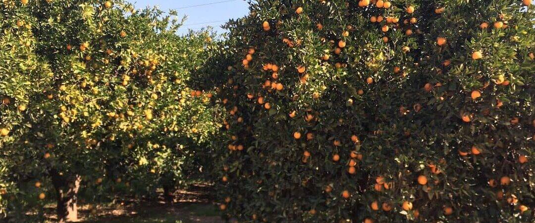 De geheimen achter een frisse en positieve indruk
